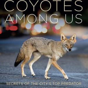 Cover image of Coyotes Among Us book