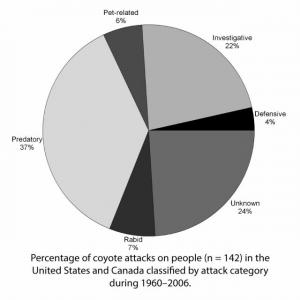 Percentage of coyote attacks on people (n = 142) in the United States and Canada classified by attack category during 1960–2006