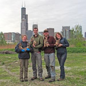 Researchers holding pups in front of Chicago skyline