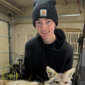 Kody Woodcock | Urban Coyote Research