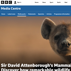 screenshot of BBC page