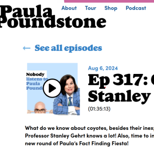 Paula podcast image