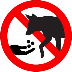 do not feed cats
