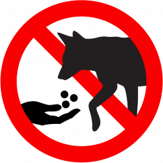 Do not feed coyotes