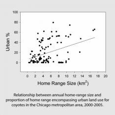 Relationship between annual home-range size and proportion of home range encompassing urban land use for coyotes in the Chicago metropolitan area, 2000-2005