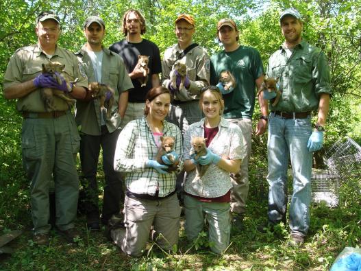 2012 research team with Forest Preserve partners