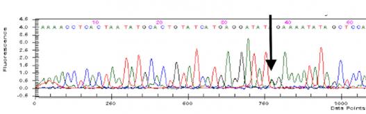 Genetic sequence for coyote 860