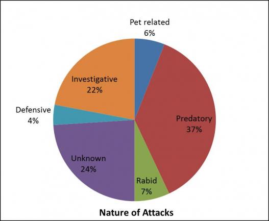 nature of attacks