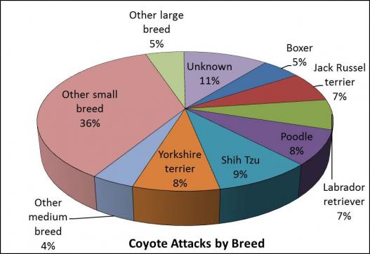 Attacks by dog breed