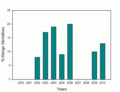 Frequency of mange-related coyote mortalities in Cook County by year